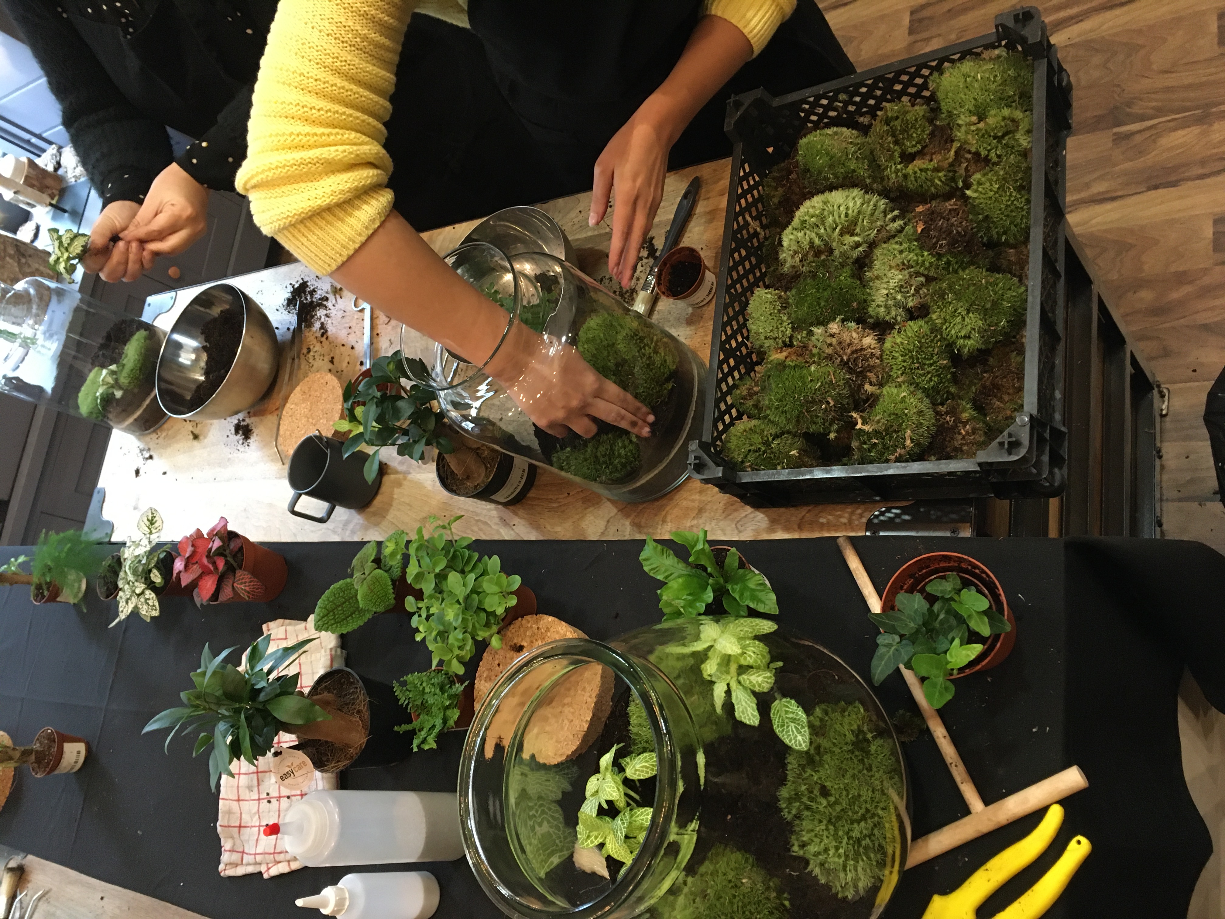 Les ateliers DIY d'art végétal